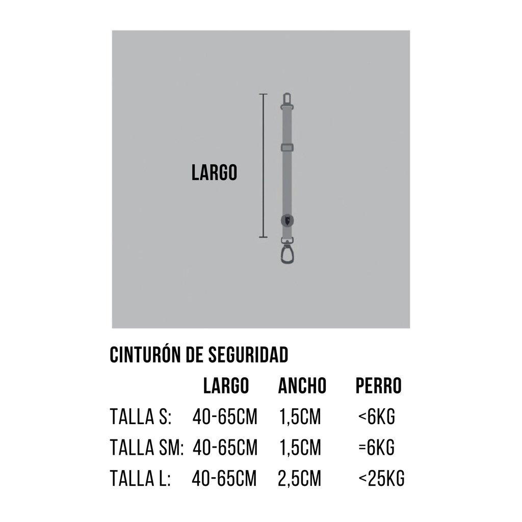 Cinturon de seguridad