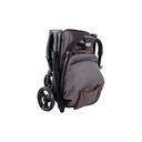 Speedy Fold Pet Buggy