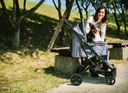 Speedy Fold Pet Buggy