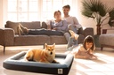 cama-ortopedica-para-mascotas