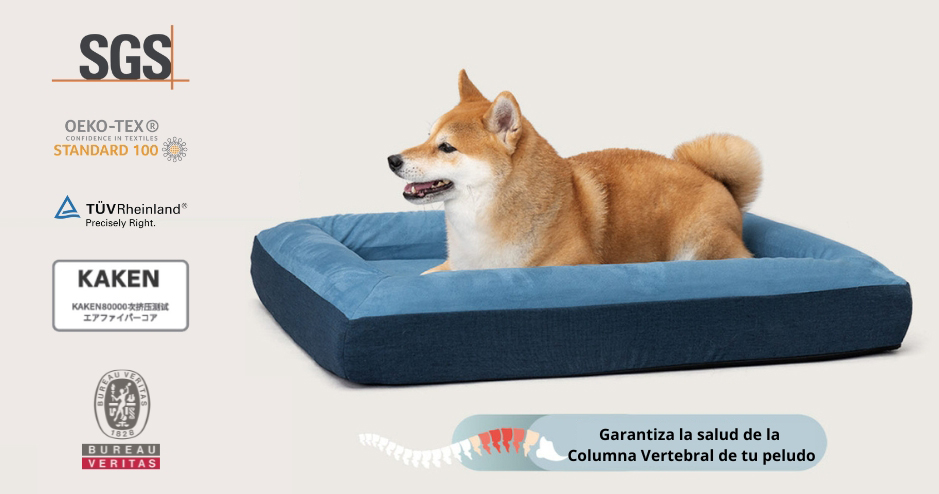 cama-ortopedica-para-perros-con-problemas-articulares