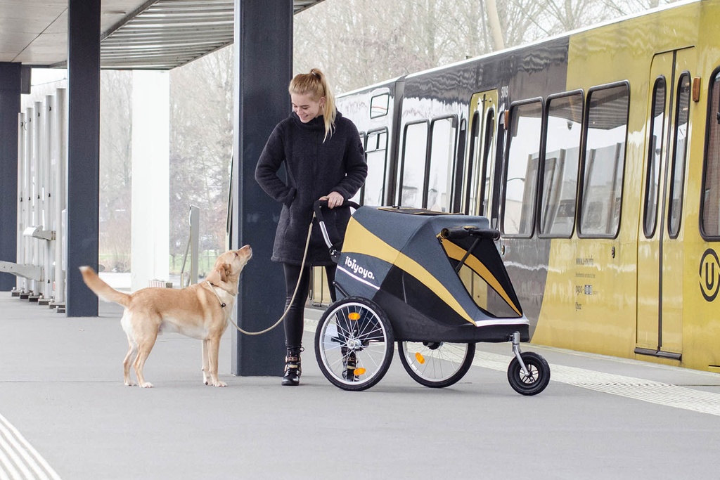 The Hercules Heavy Duty Pet Stroller