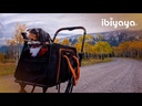 JetPaw: Expandable in-cabin pet backpack