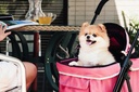 carrito-astro-go-lite-para-perros