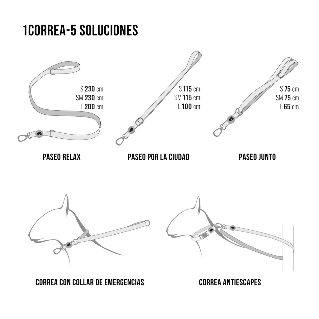 Correa Multifuncional