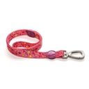 Correa para Perros - Morso