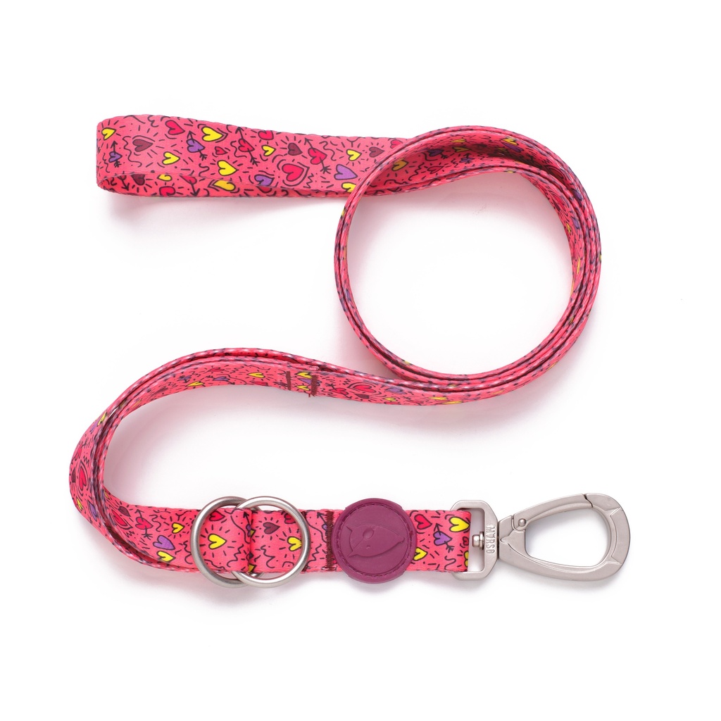 Correa Multifuncional para Perros- Morso