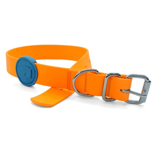 Collar Waterproof para Perros- Morso
